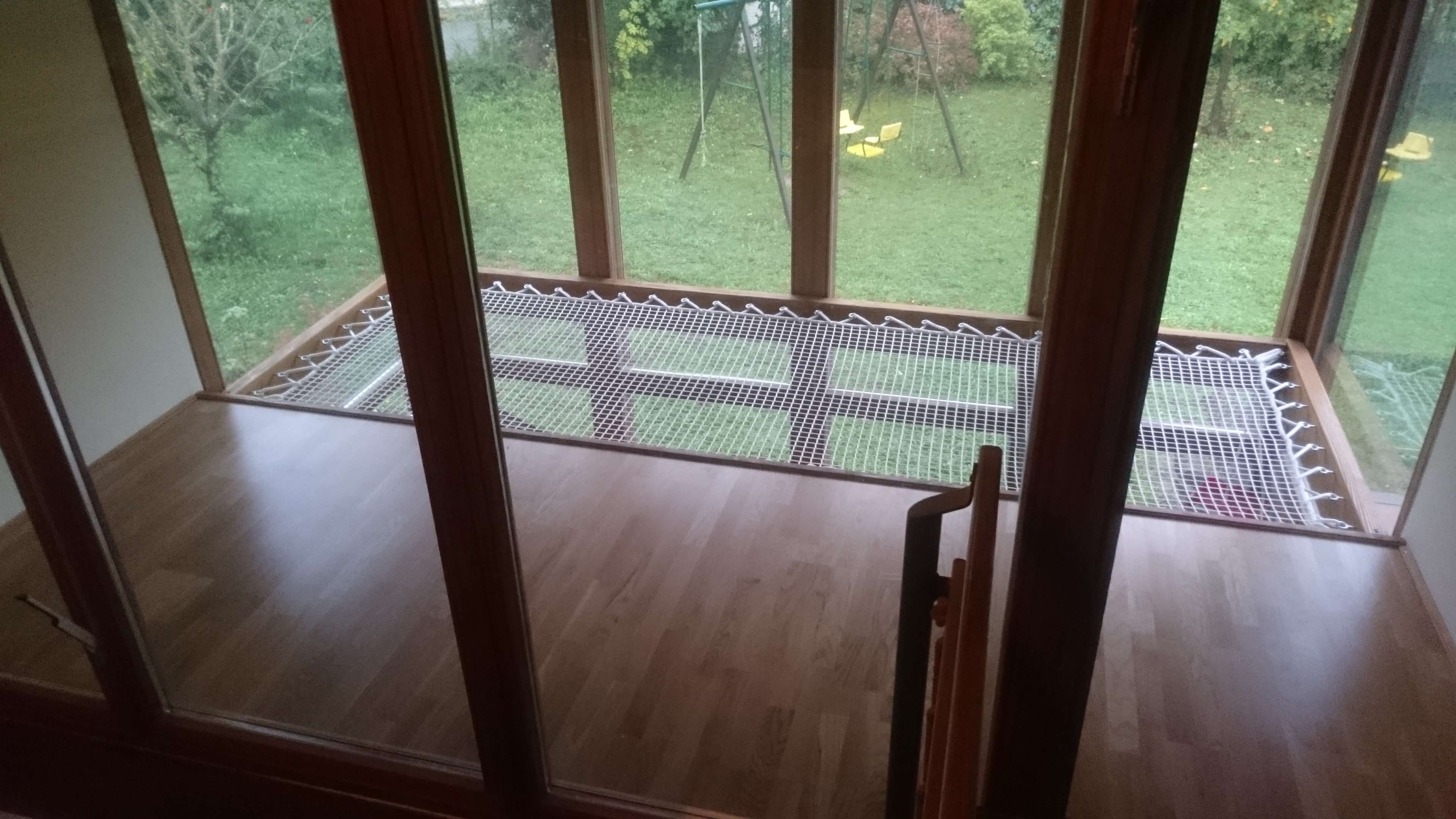 Photo1