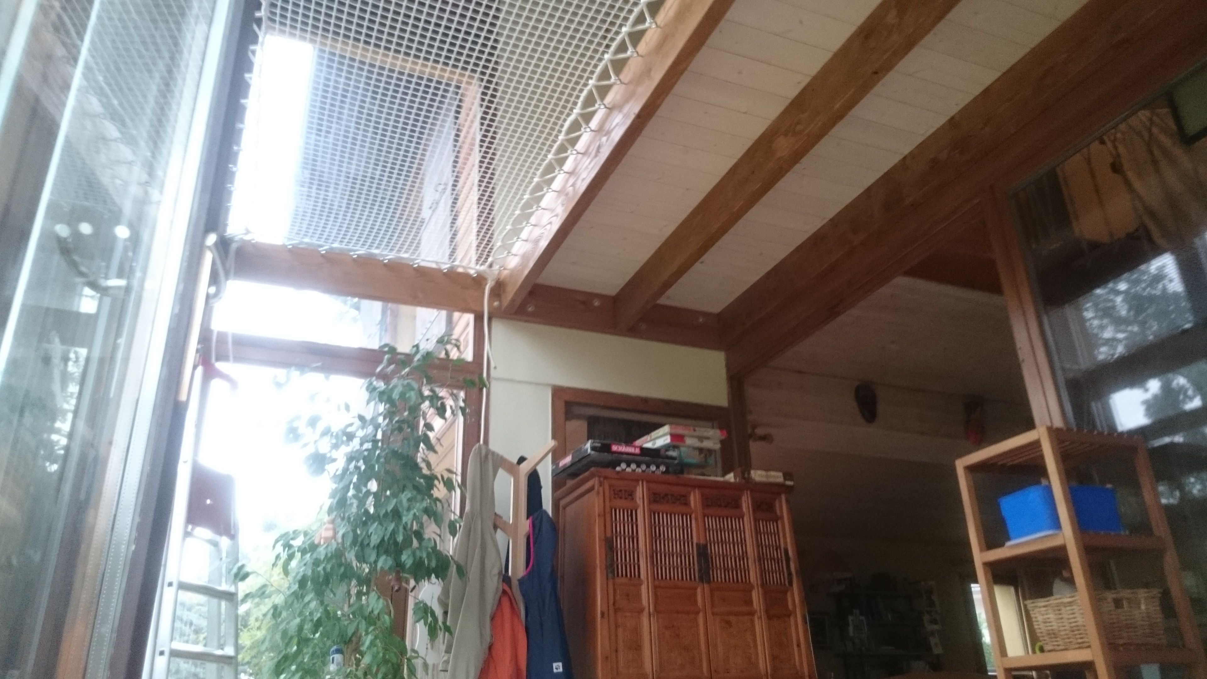Photo2